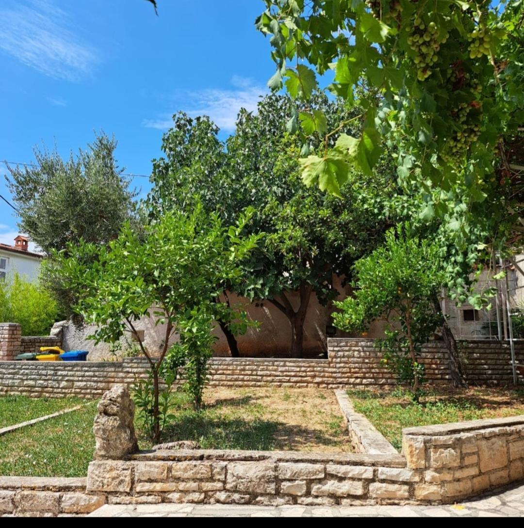 Villa Giulia Ližnjan 외부 사진